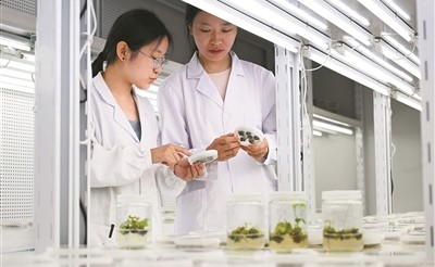 新農(nóng)科建設(shè)，項(xiàng)目實(shí)踐走向鄉(xiāng)村大地